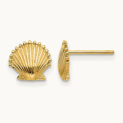 Scallop Shell Post Earrings — 14K Yellow Gold, 8mm