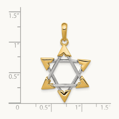 Star of David Pendant, 14K Two-tone