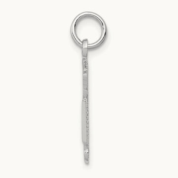 RN Registered Nurse Charm — photo set