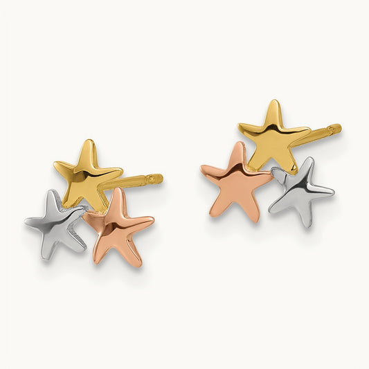 Madi K with Rose and White Rhodium Polished Stars Post Earrings, 14K