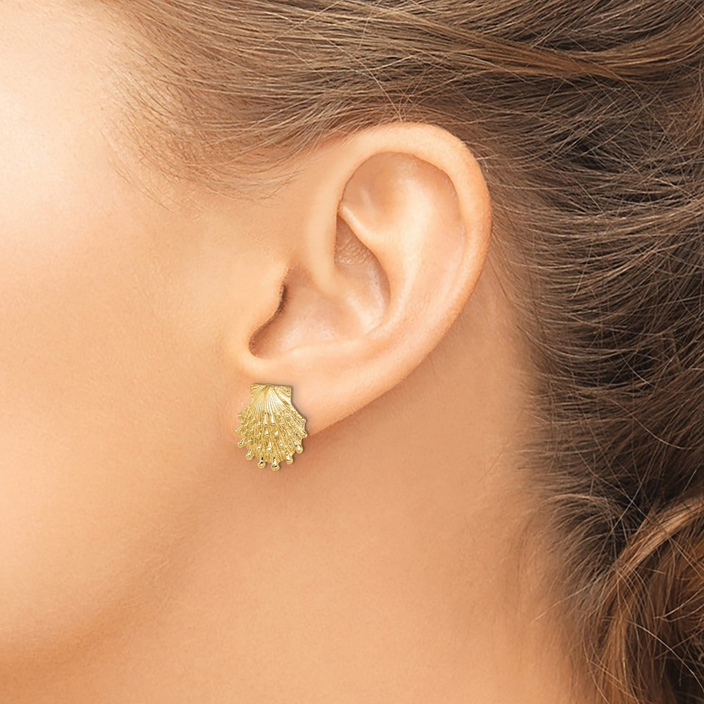Lion's Paw Shell Post Earrings — 13.9mm