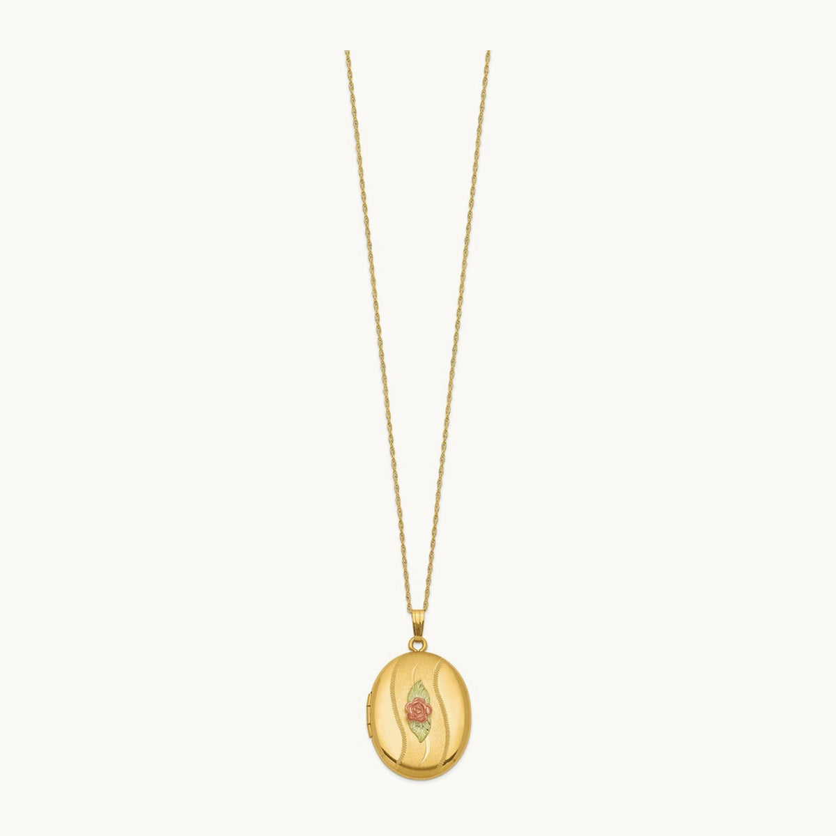 With 12k Accents and Gold-filled Chain Black Hills Locket
