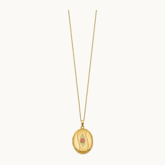 With 12k Accents and Gold-filled Chain Black Hills Locket