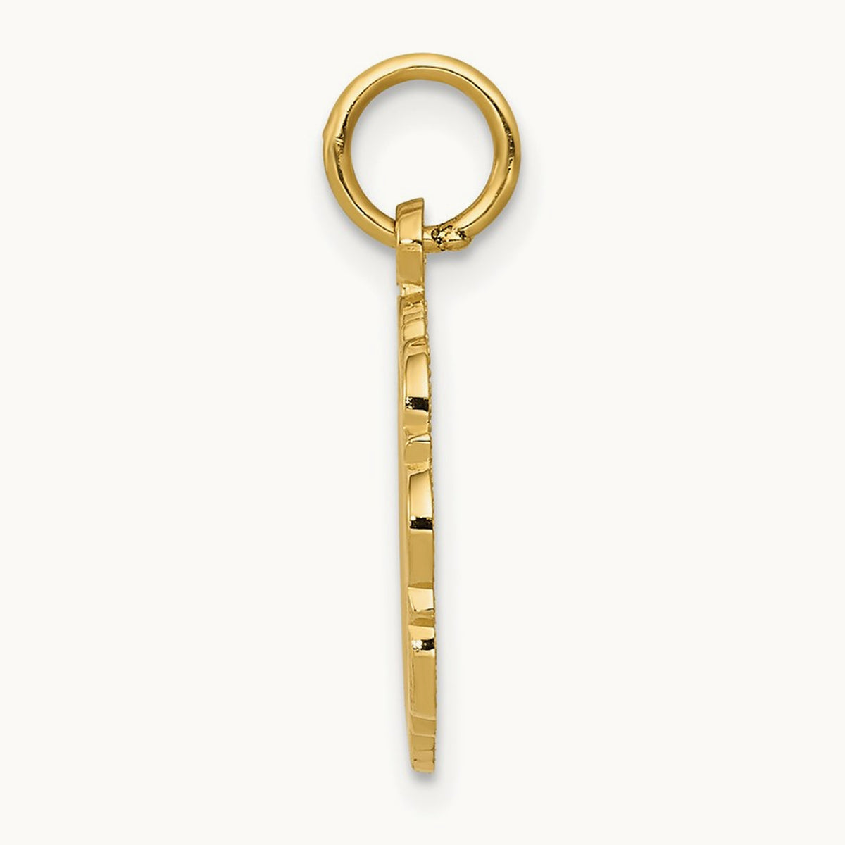 RN Registered Nurse Disc Charm, 14K
