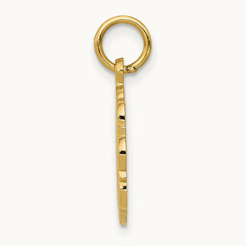 RN Registered Nurse Disc Charm, 14K