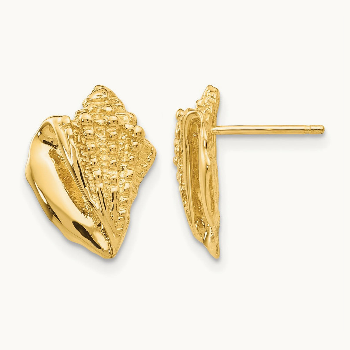 Conch Shell Earrings, 14K