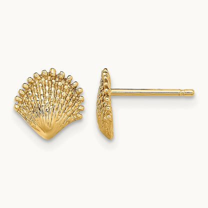 Scallop Shell Post Earrings, 14K