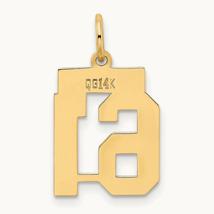 Small Polished Number 61 Charm, 14K