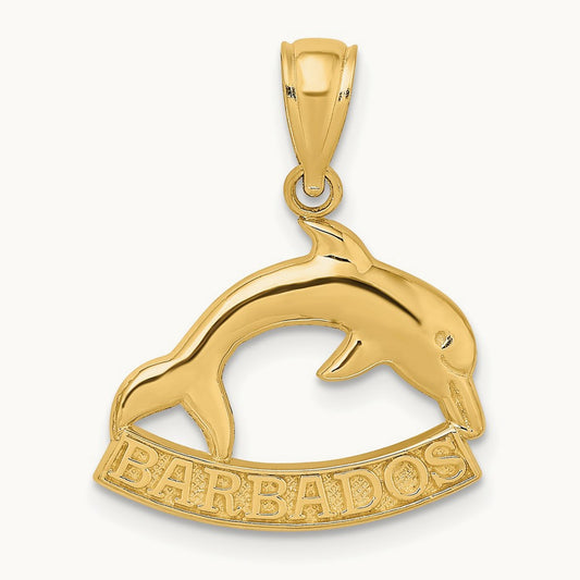 Polished BARBADOS Dolphin Charm, 14K