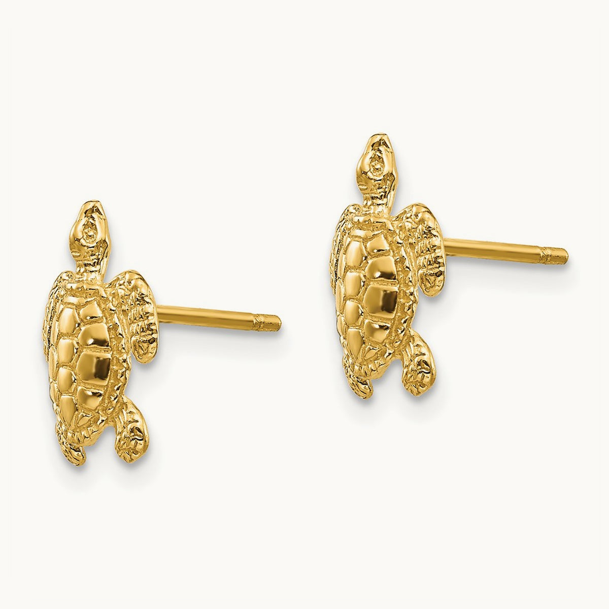 Sea Turtle Post Earrings — photo set