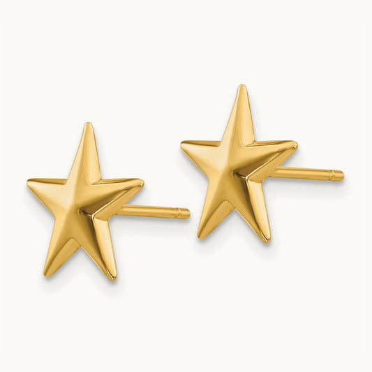 Nautical Star Post Earrings, 14K