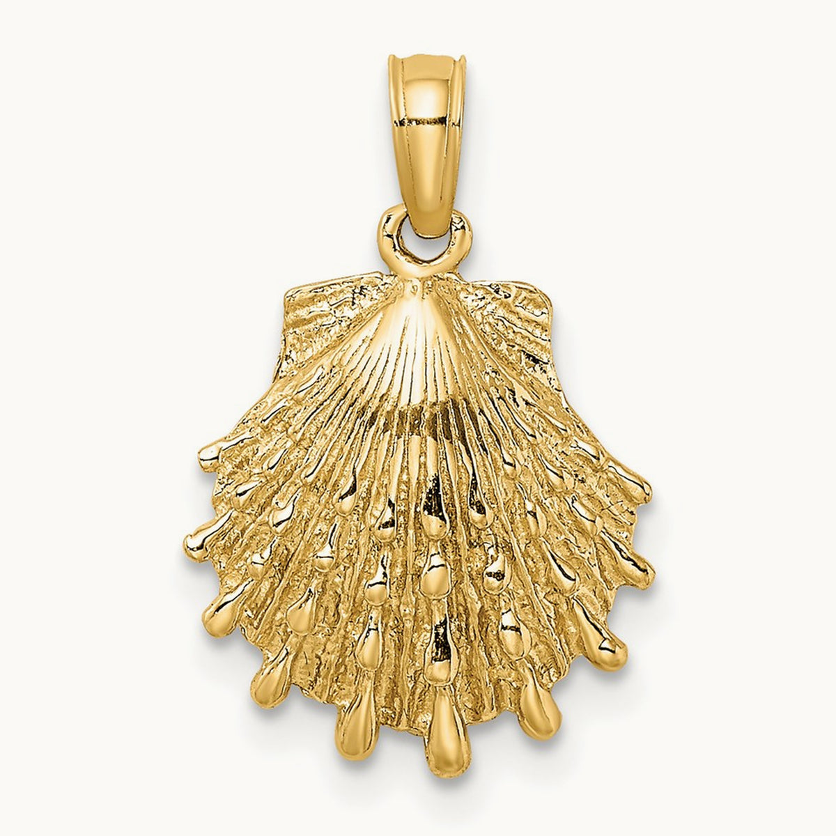 Lion's Paw Shell Charm, 14K