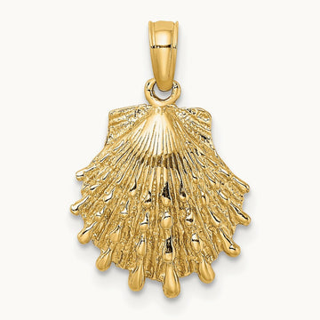 Lion's Paw Shell Charm, 14K