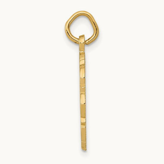 RN Registered Nurse Disc Charm, 14K