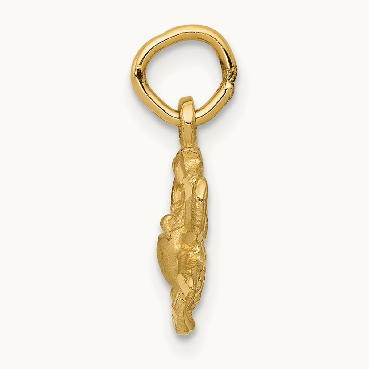 Satin Diamond-cut Cancer Zodiac Charm — photo set
