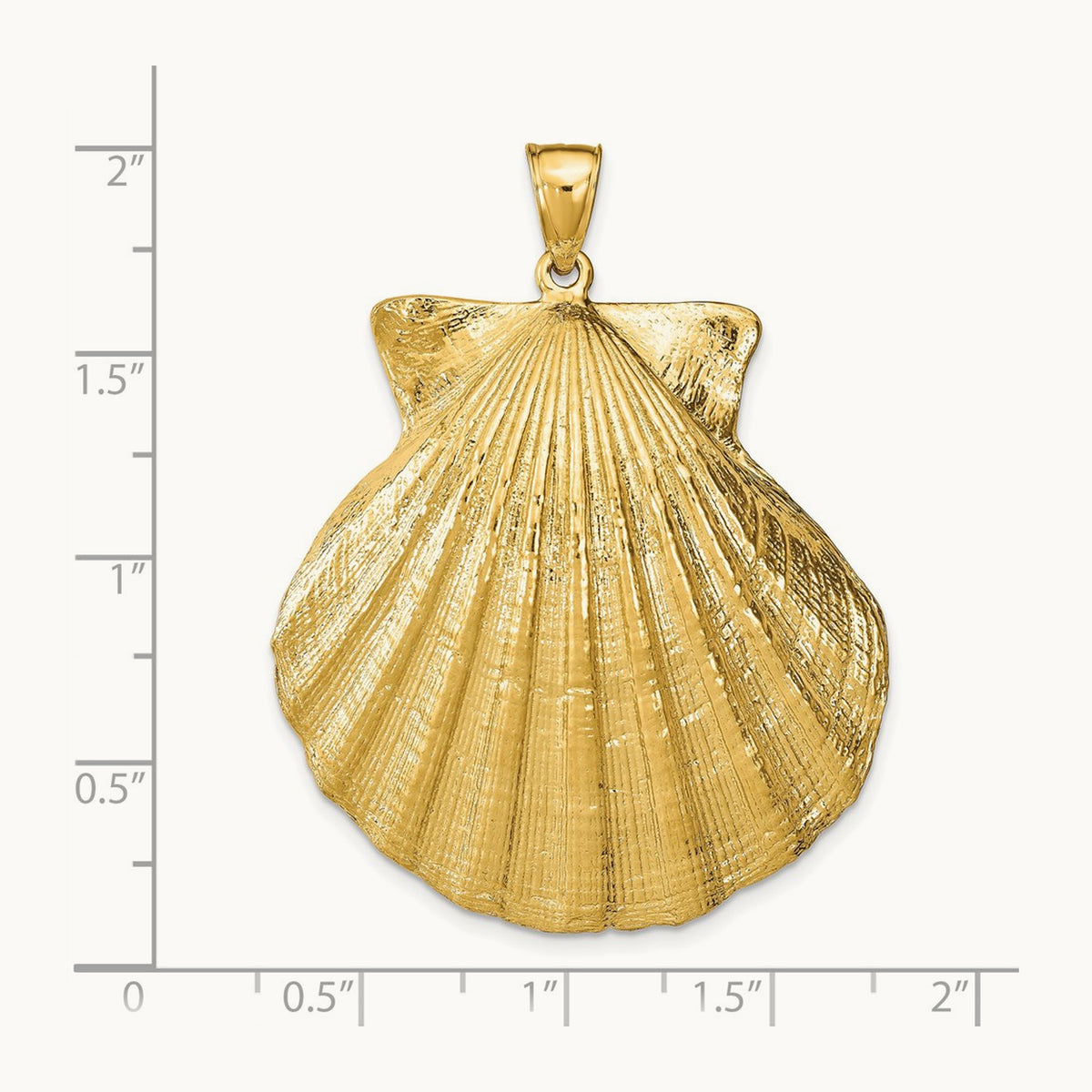 Scallop Shell Pendant, 14K