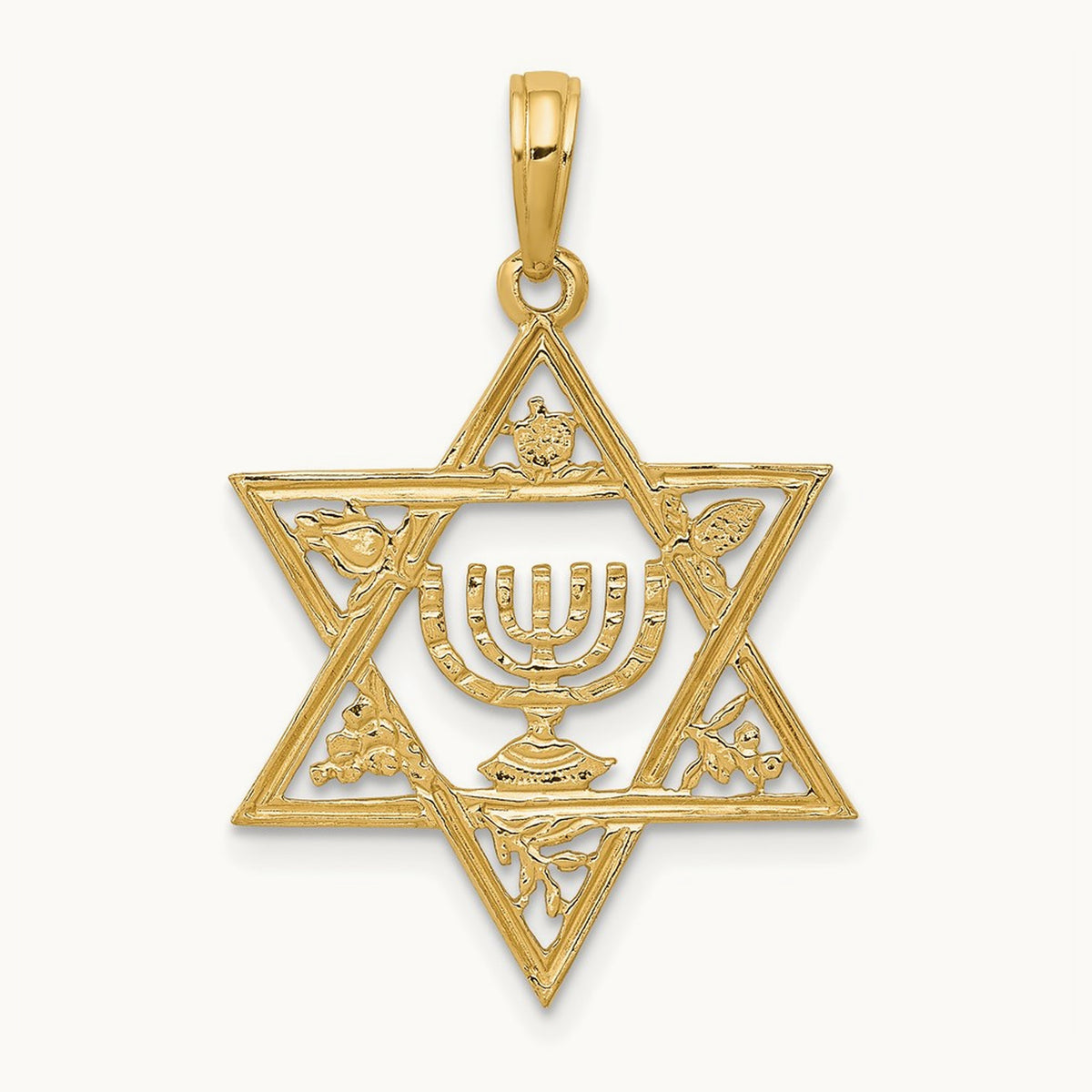 Star of David w/Menorah Pendant, 14K