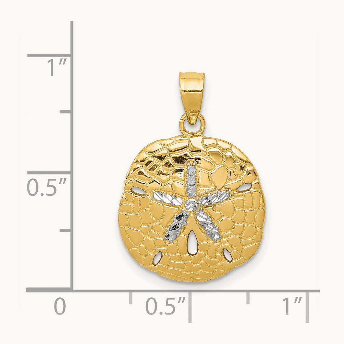 Polished Diamond-Cut Sand Dollar Pendant with White Rhodium — 24mm