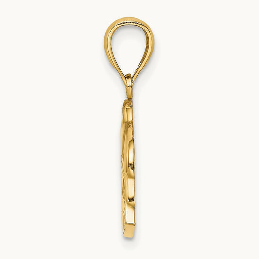 Polished BARBADOS Dolphin Charm, 14K