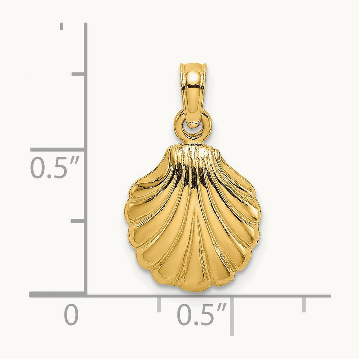 Polished Scallop Shell Charm — 19mm