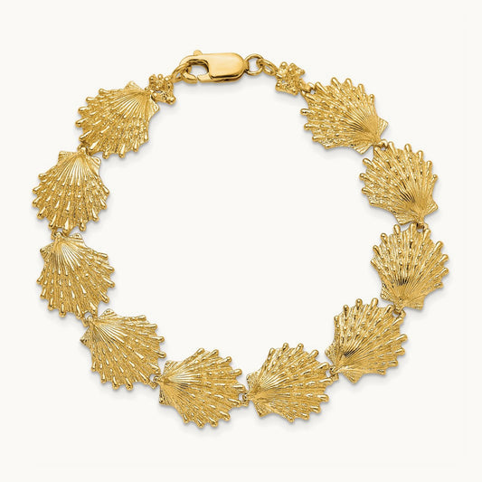 Lion's Paw Shell Bracelet, 14K