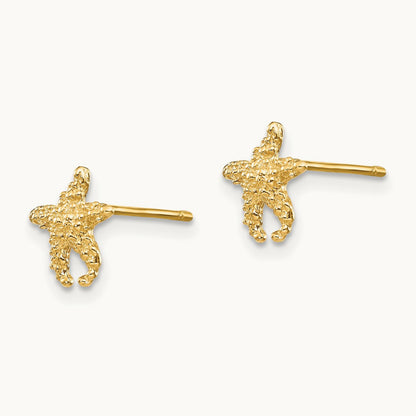 Polished and Textured Starfish Post Earrings — 14K Yellow Gold