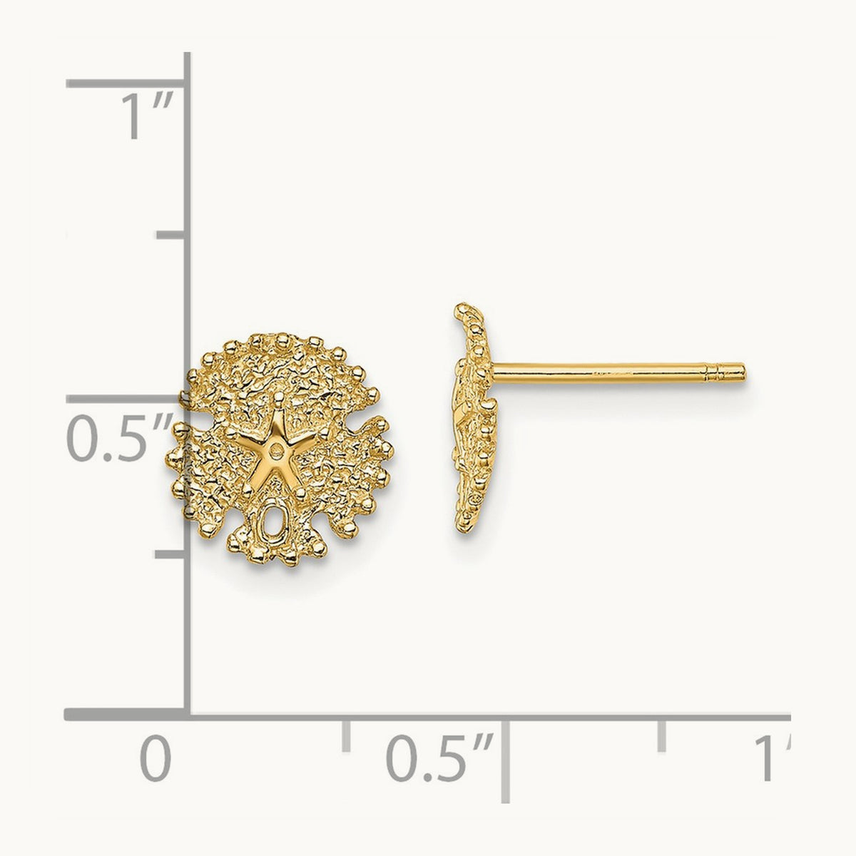 Textured Sand Dollar Post Earrings — 8.4mm