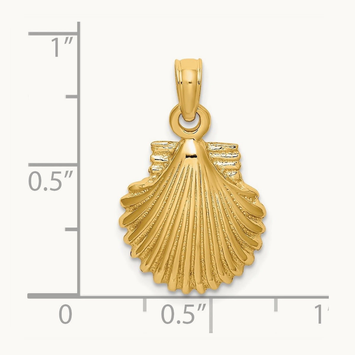 Polished Scallop Shell Charm — 22mm
