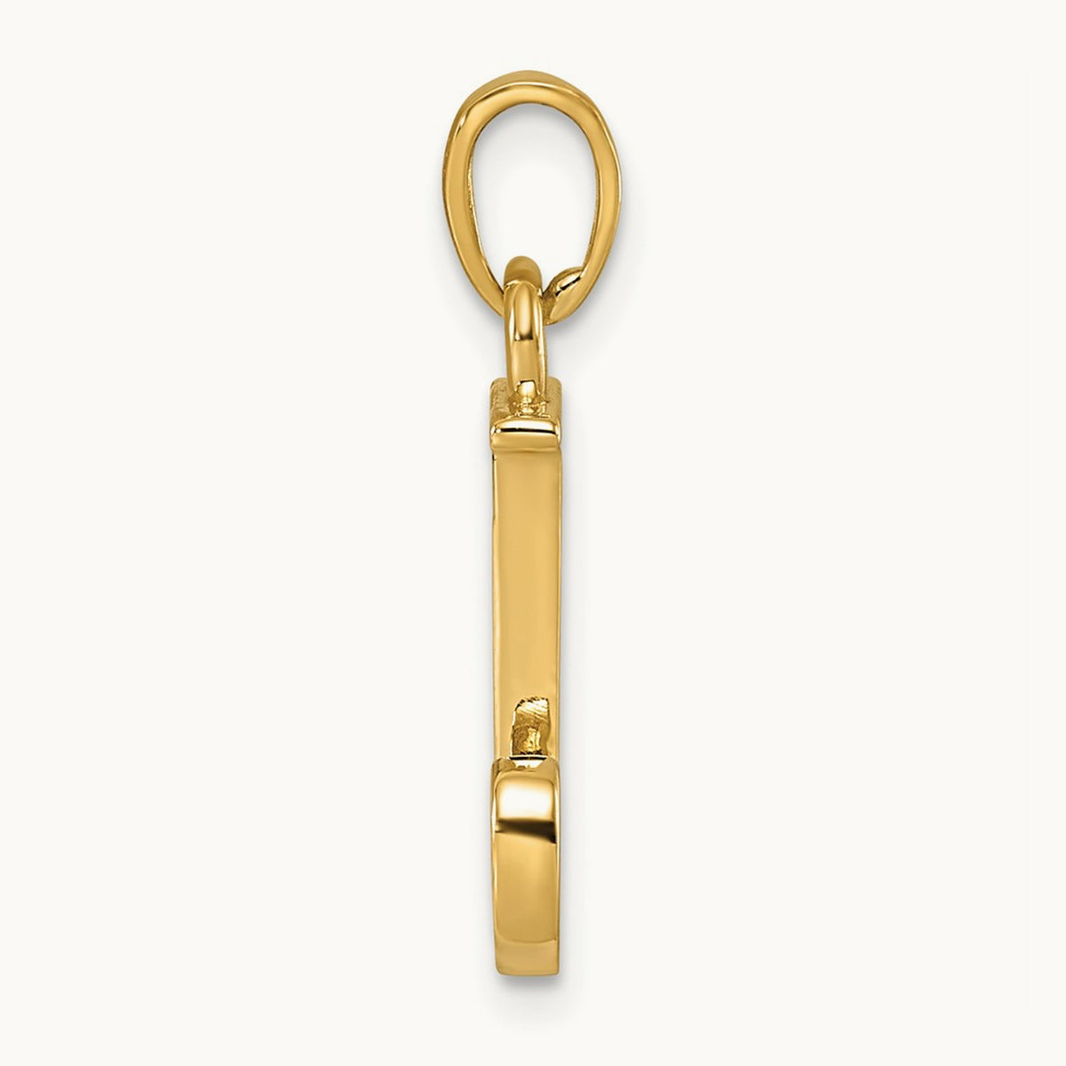 Polished Pendant — J