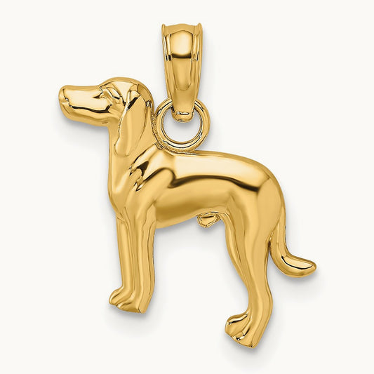 Polished Dog Charm — photo set