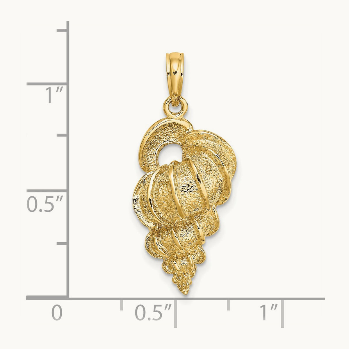 Wentletrap Shell Charm — photo set