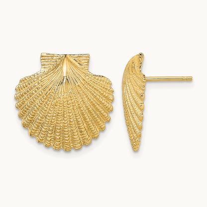 2-D Textured Scallop Shell Post Earrings, 14K