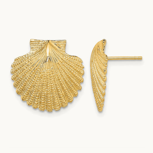2-D Textured Scallop Shell Post Earrings, 14K