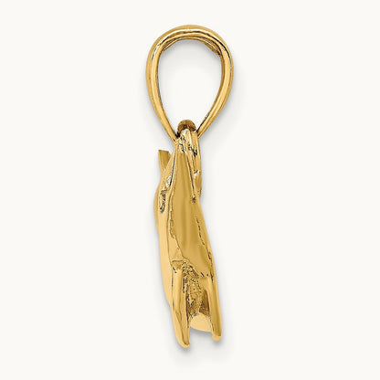 Polished Dolphin Charm — photo set