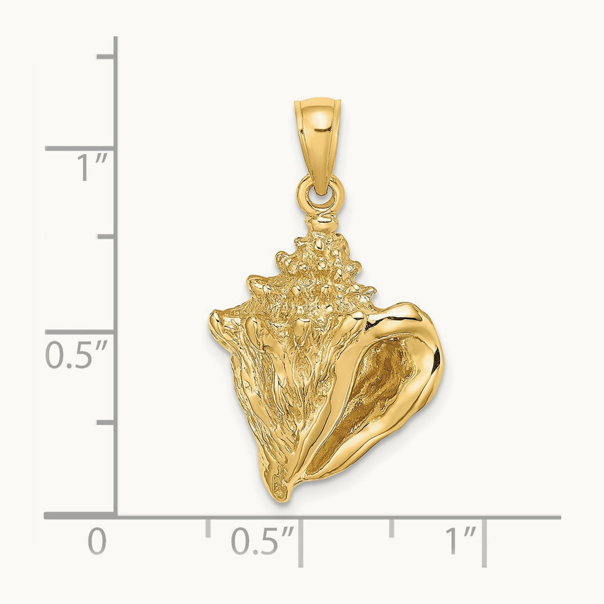 Conch Shell Charm — 27mm