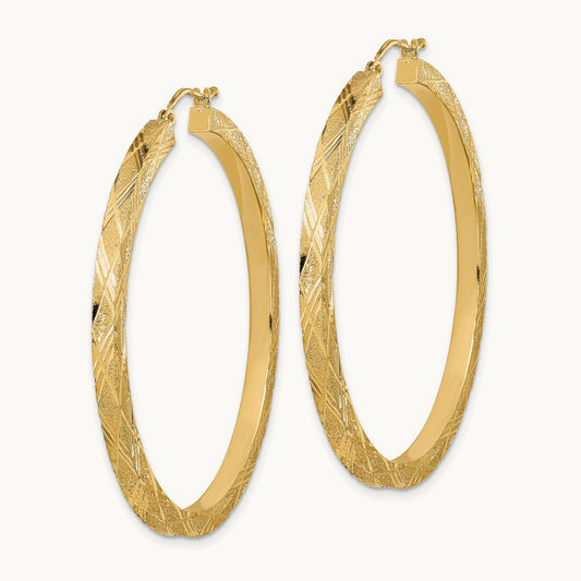 Polished and Textured Hoop Earrings — photo set