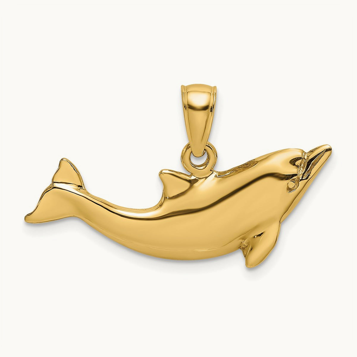 Polished Dolphin Charm — photo set