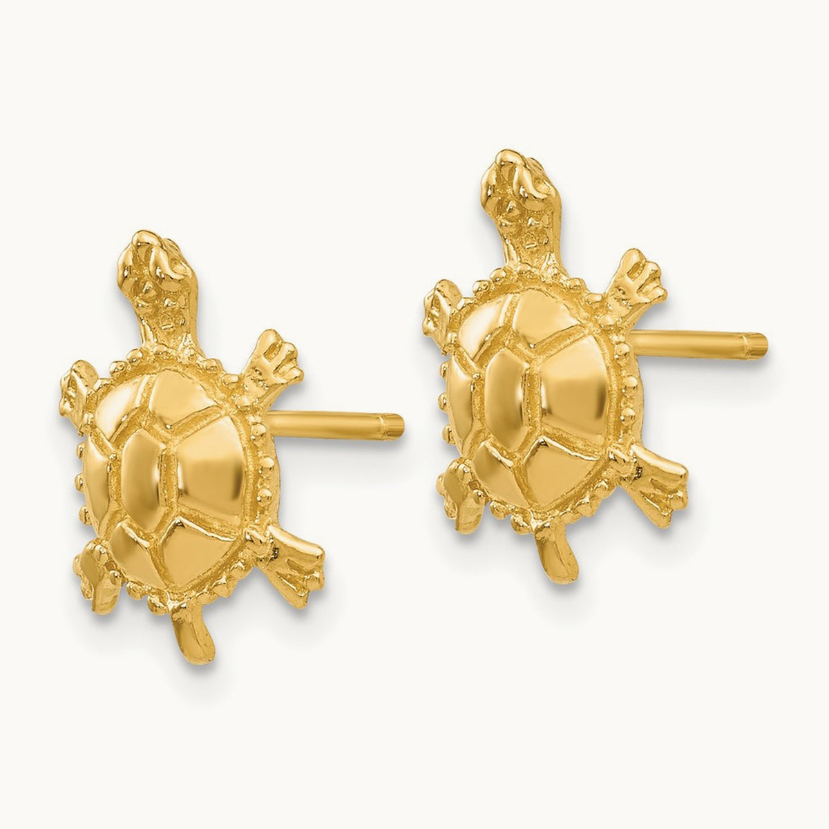 Turtle Post Earrings — photo set
