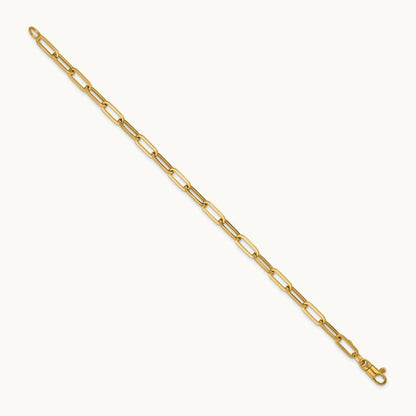 Polished 18in Paperclip Link Necklace, 14K