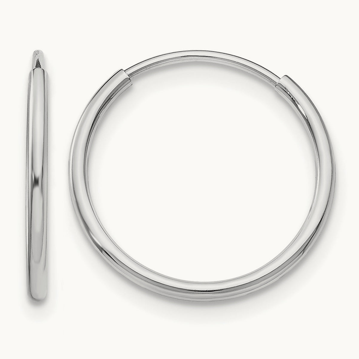 Endless Hoop Earring — Leslie's in 14K White Gold