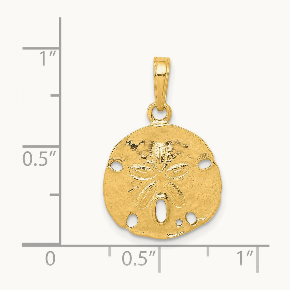 Polished Sand Dollar Pendant