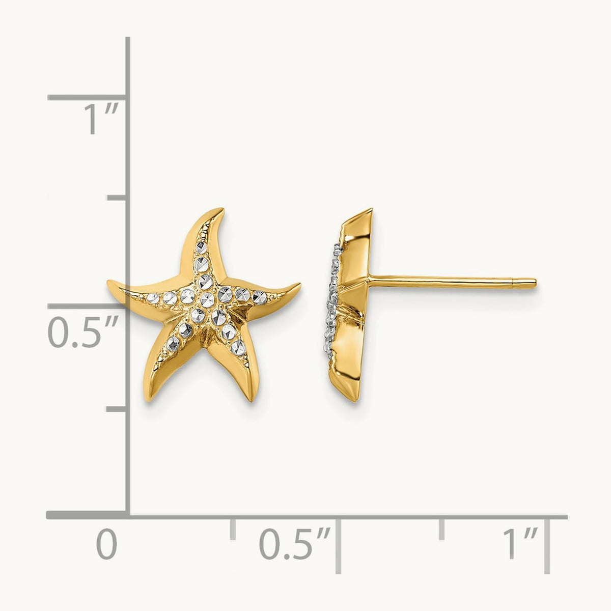 w/ Starfish Post Earrings — photo set