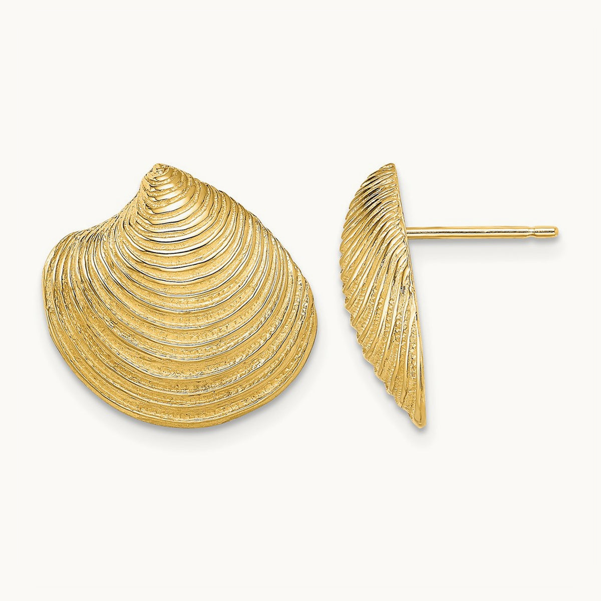 2-D Textured and Polished Clam Shell Post Earrings, 14K