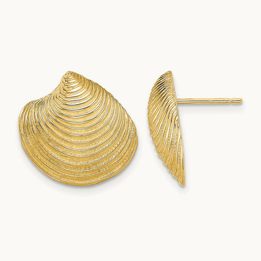 2-D Textured and Polished Clam Shell Post Earrings, 14K