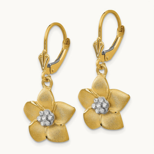 Plumeria Earrings, 14K with Rhodium