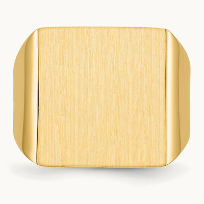 Open Back Mens Signet Ring — photo set