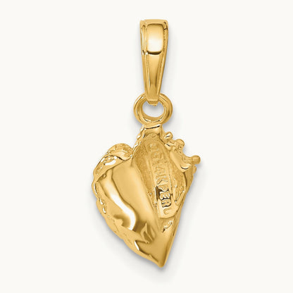 Conch Shell Pendant — photo set