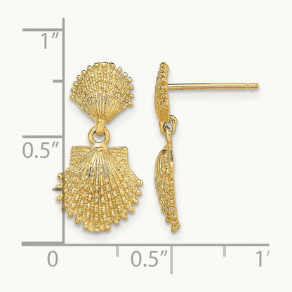 Double Beaded Scallop Shell Dangle Earrings, 14K