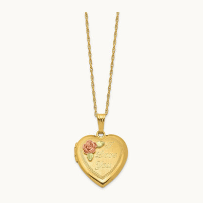 With 12k Accents and Gold-filled Chain Black Hills Locket