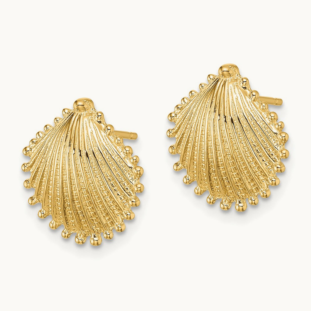 Scallop Shell Post Earrings, 14K